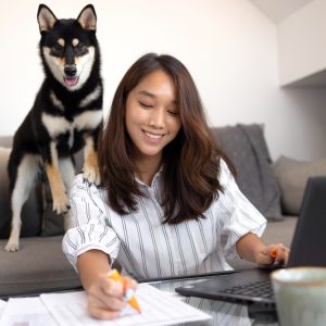 What Education or Degree is Required as a Vet?