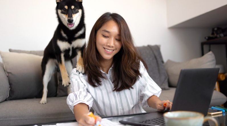 What Education or Degree is Required as a Vet?