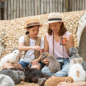 What Education Do You Need for Zoologist?