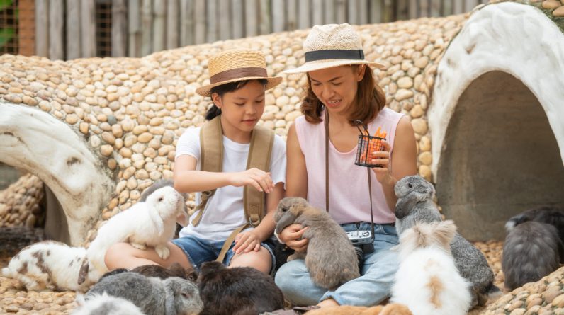 What Education Do You Need for Zoologist?