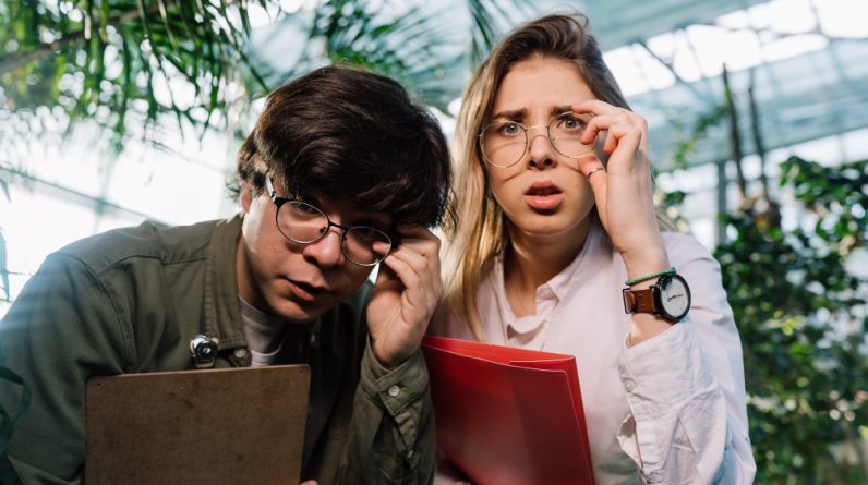 hat Does the Department of Education Do?